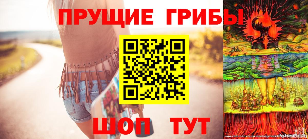 Псилоцибиновые грибы Psilocybe  Вход с VPN  купить наркотики цена  Малгобек 