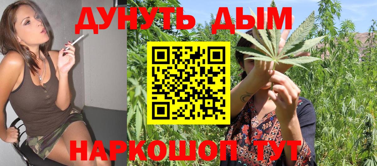 Малгобек  Каннабис Ganja  Бошки марихуана индика  Каннабис планчик  Канабис марихуана  Вход с VPN 